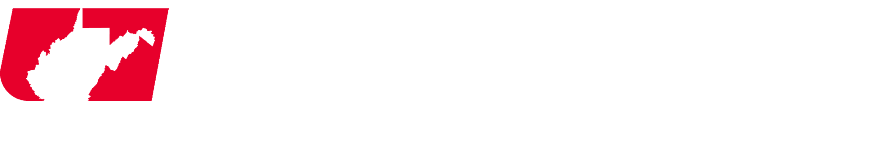 metro news icon