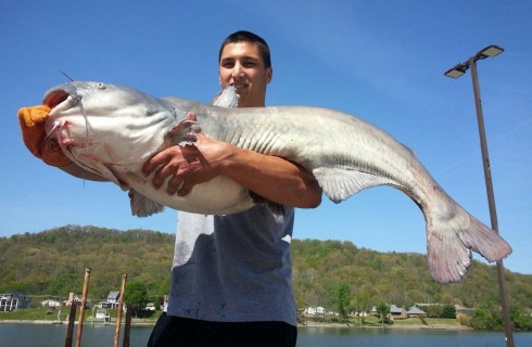 A new blue catfish state record - WV MetroNews
