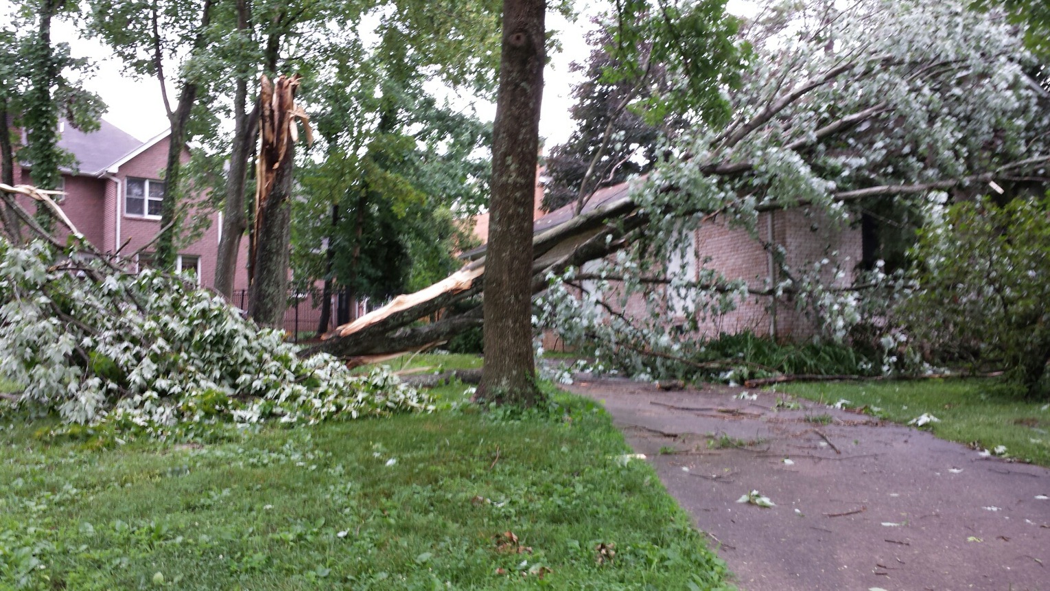 Storm damage causes outages in Kanawha Valley WV MetroNews