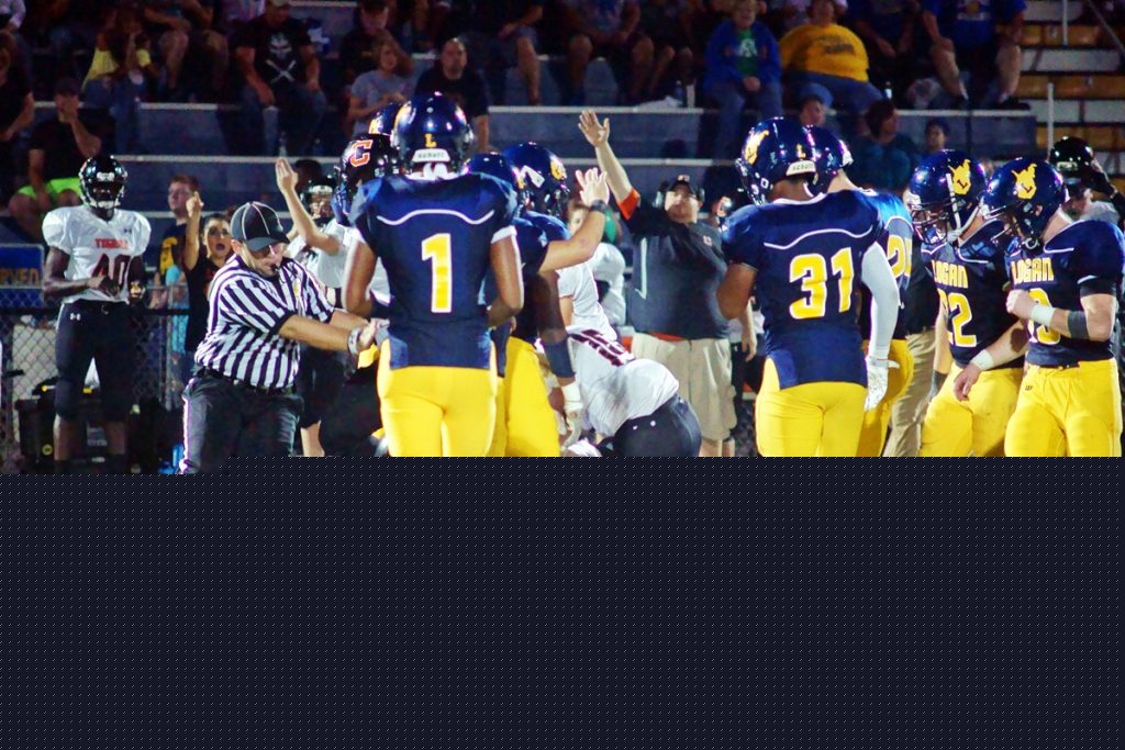 HS football photo gallery Chapmanville 29, Logan 8 WV MetroNews