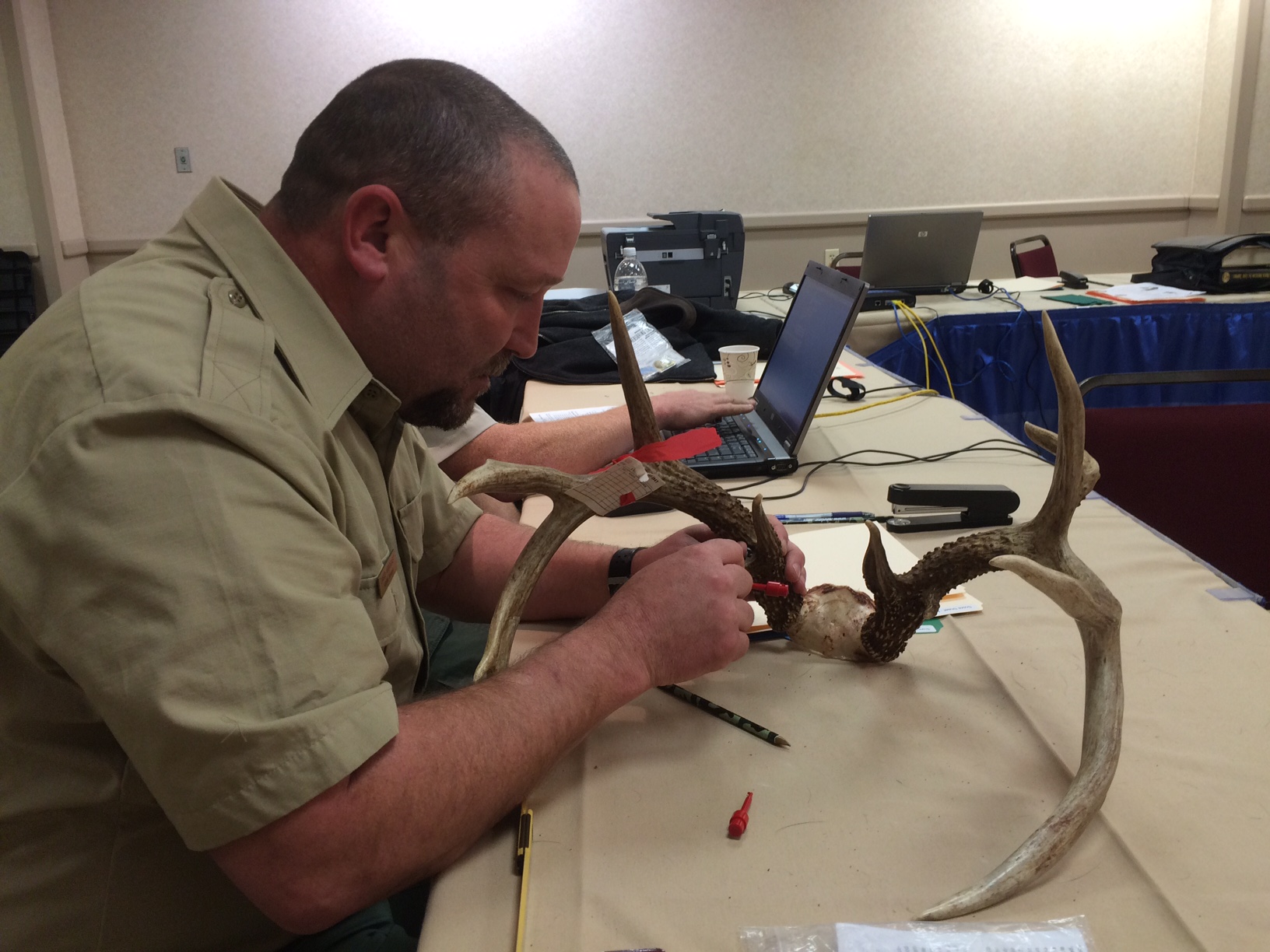 DNR will score antlers at this weekend's W.Va. Hunting and Fishing Show
