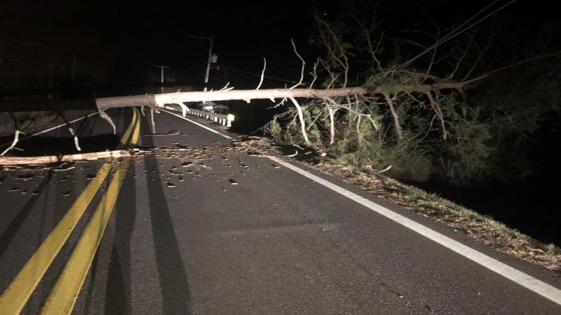 Wind and rain do damage in Mountain State - WV MetroNews