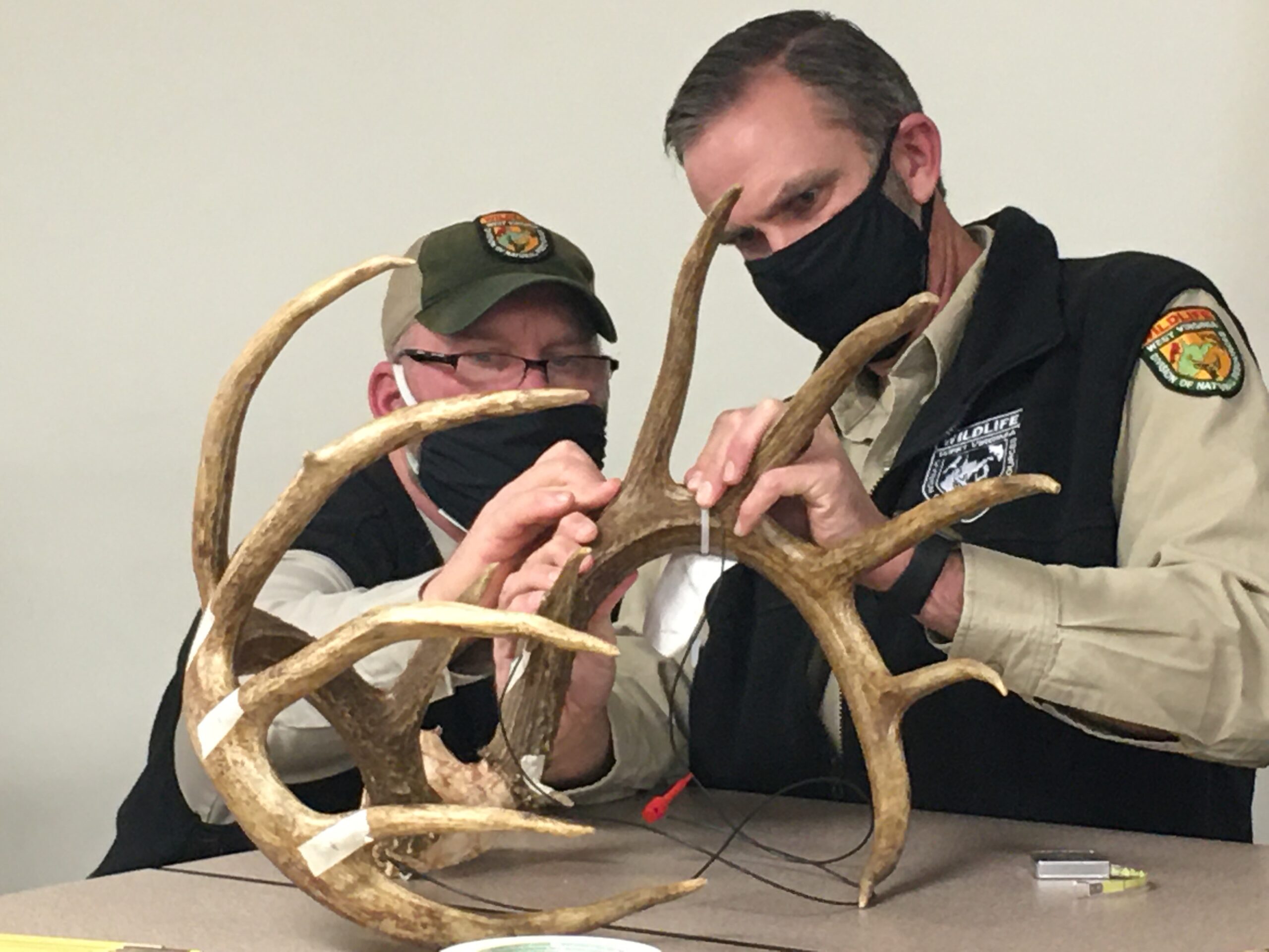 Wyoming County whitetail becomes the new state record