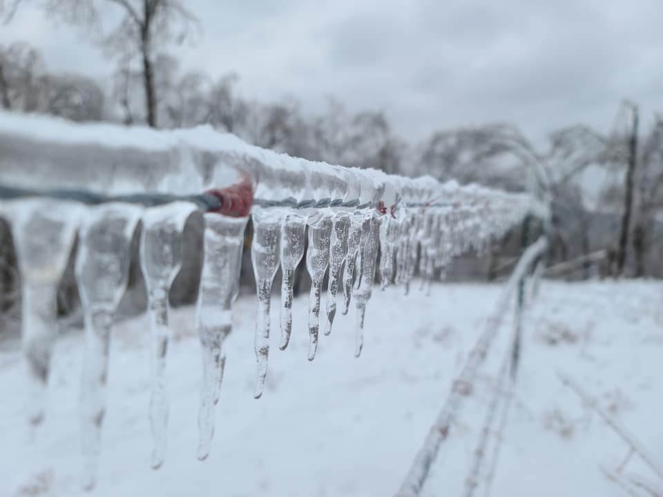 Ice Wire Wv Metronews