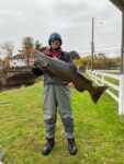 Brett Frey  of Philippi, W.Va. shares this pic of a jack King salmon caught in Johnson's Creek in Lyndonville, New York in October 2022
