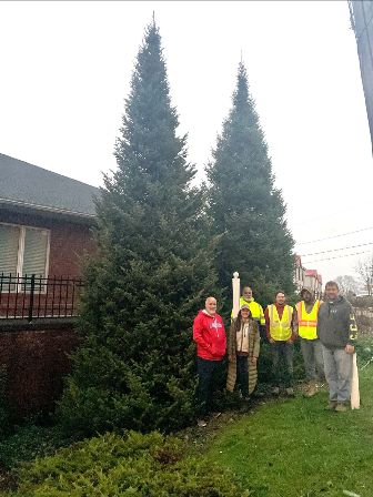 Pierre state capitol christmas trees