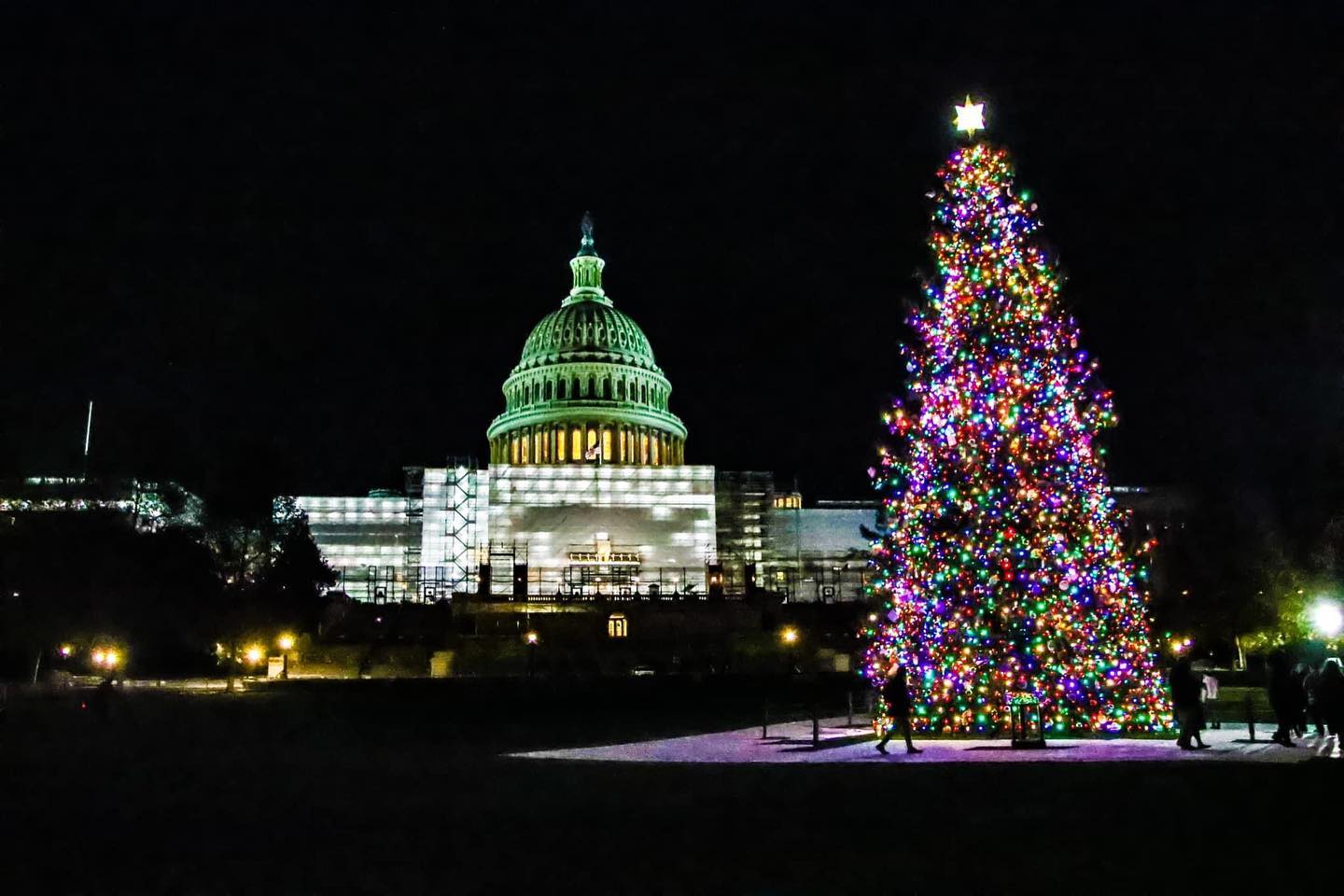 West Virginia To Provide The U.S. Capitol Christmas Tree In 2023 - WV ...