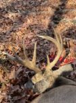 Matt Mcdaniel, of Martinsburg, W.Va. killed this old mountain buck on the opening day of the 2023 buck season while hunting with his son. 
