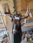 James Berke of West Union, W.Va. shares this picture of the biggest buck taken from their hunting property in 2023 during the rifle season. 