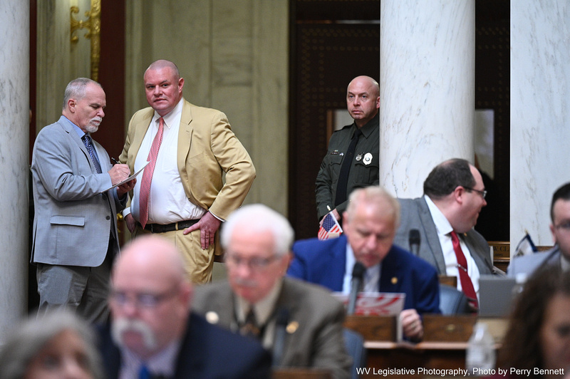 West Virginia bill could open libraries to felony charges in obscenity law