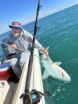 Roger Kelly of St. Albans, W.Va. shows off a bull shark caught while fishing with his son Levi Kelly during a deep sea fishing trip off the coast of Sanibel Island, Fla. on New Year's Day 2024.  The shark was 7 feet long and estimated weight was 200 to 250 pounds. 