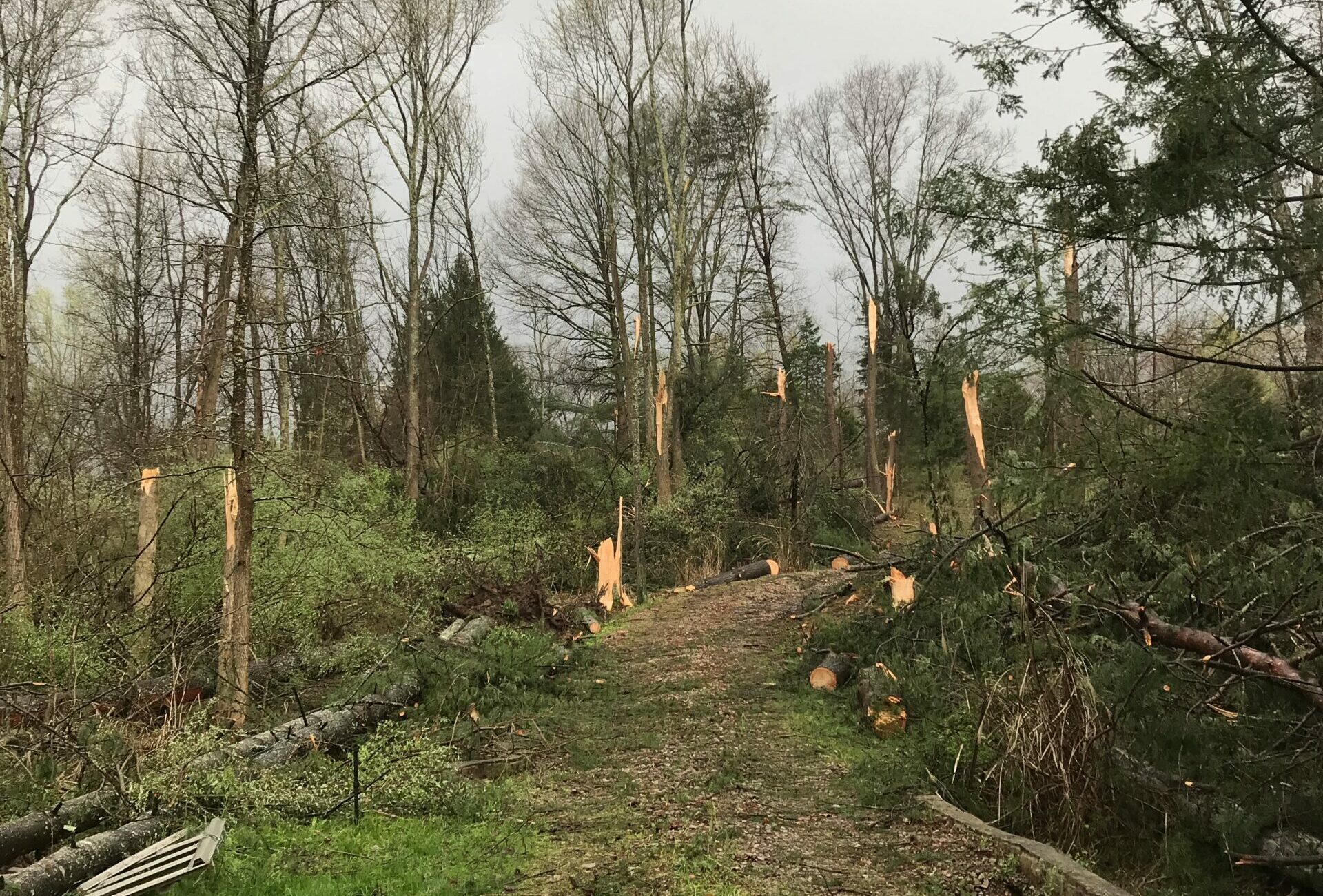 National Weather Service confirms 3 tornados, microburst in